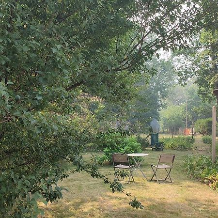 Chalet Dans La Foret....Adorable 1 Bedroom Chalet Surrounded By Woodland Pressignac エクステリア 写真